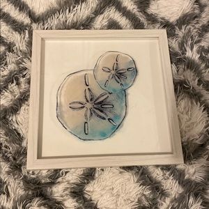 SAND DOLLAR SEA SHELL PICTURE FRAME